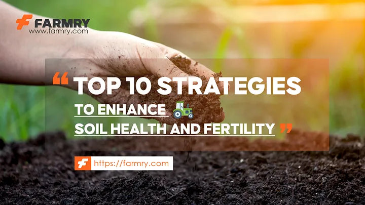 Top 10 Strategies to Enhance Soil Health and Fertility