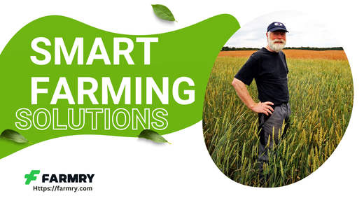 Smart Farming Solutions: Exploring Cutting-Edge Technologies for Sustainable Agriculture