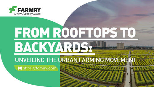 Urban Farming Movement